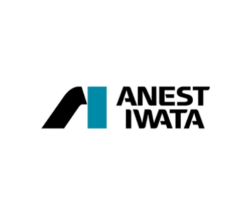 Anest Iwata